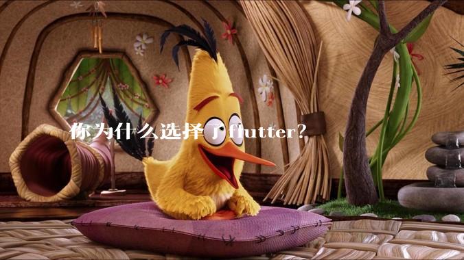 你为什么选择了flutter？
