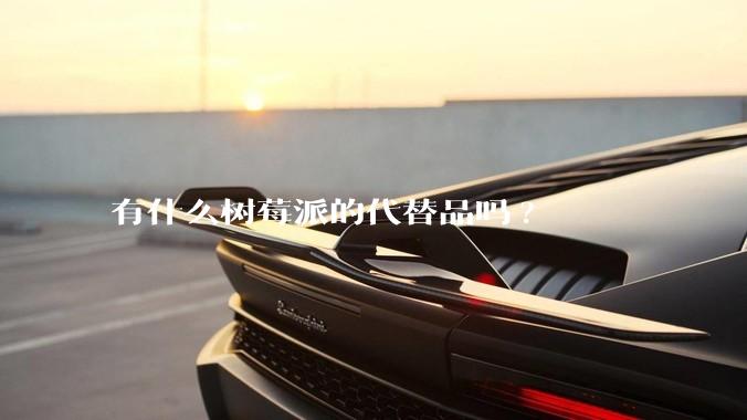 有什么树莓派的代替品吗?